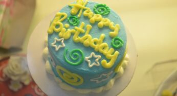 【英語フレーズ】the icing on the cake ケーキの上の飾りって何？