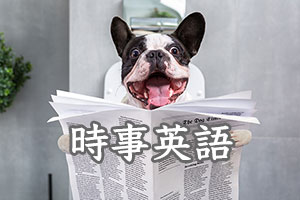 新しい動画upしたから見てね って英語でどう言うの English Lab