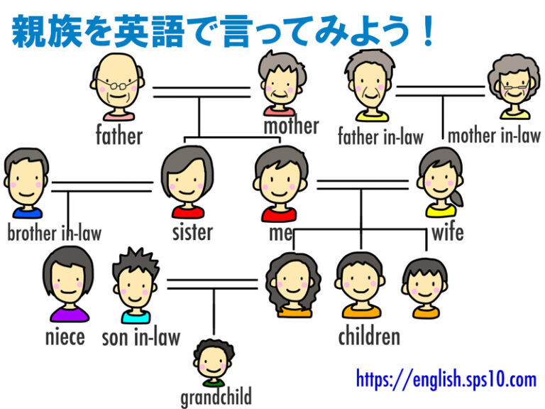 義理の母 娘婿って英語でどう言う 親族を英語で言ってみよう English Lab